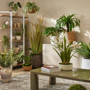 Owen Shelving Unit Natural Wash & White